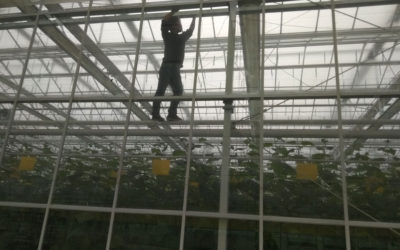 Greenhouse monitoring in Jiangsu